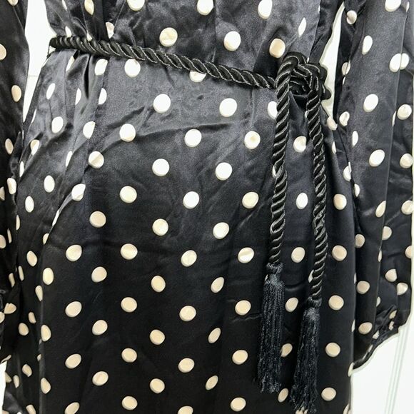 Elizabeth McKay Polka Dot Tie Waist Mini Silk Dress(Size 4) - Picture 11 of 14
